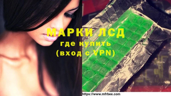 спиды Алзамай