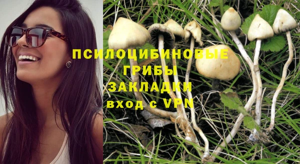 синтетический гашиш Алексин