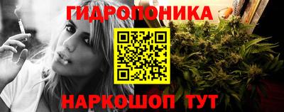 PSILOCYBIN Обнинск