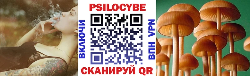 Галлюциногенные грибы Cubensis  блэк спрут ссылка  Тара 